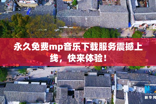 永久免费mp音乐下载服务震撼上线，快来体验！