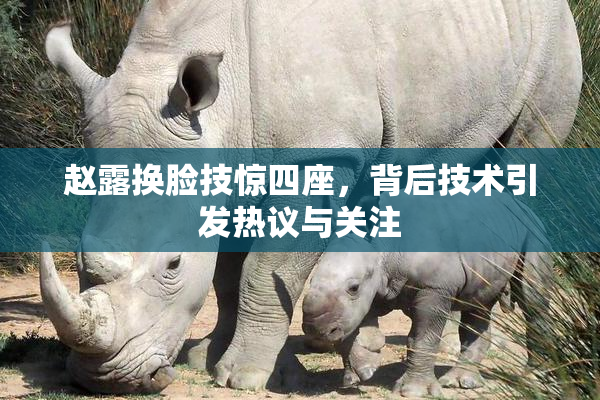 赵露换脸技惊四座，背后技术引发热议与关注