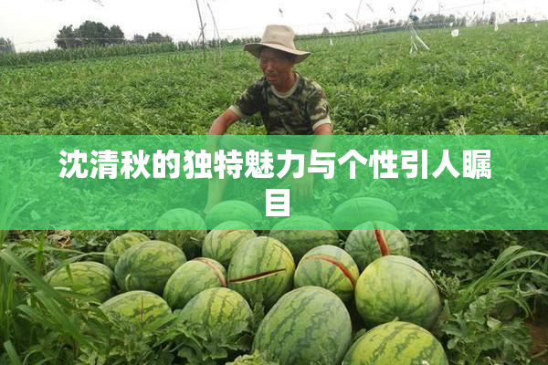 沈清秋的独特魅力与个性引人瞩目