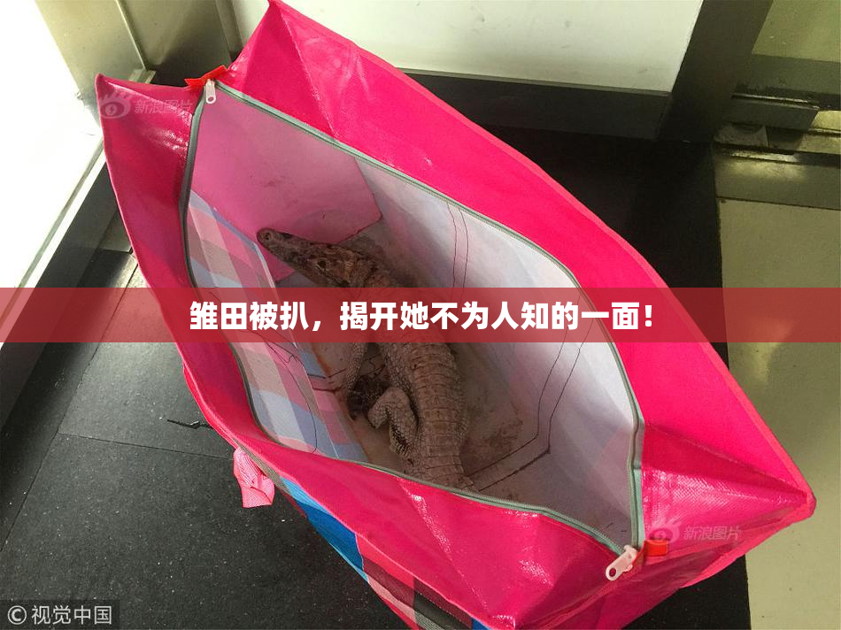 雏田被扒，揭开她不为人知的一面！