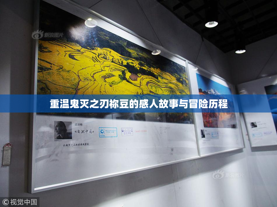 重温鬼灭之刃祢豆的感人故事与冒险历程
