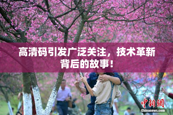 高清码引发广泛关注，技术革新背后的故事！