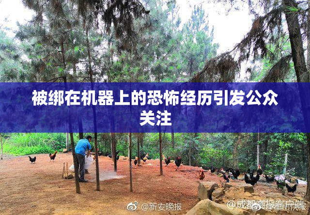 被绑在机器上的恐怖经历引发公众关注
