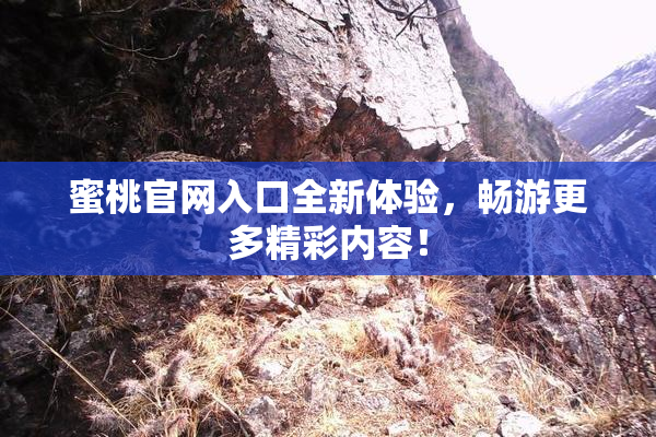 蜜桃官网入口全新体验，畅游更多精彩内容！