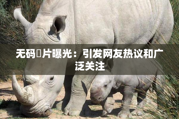 无码婬片曝光：引发网友热议和广泛关注