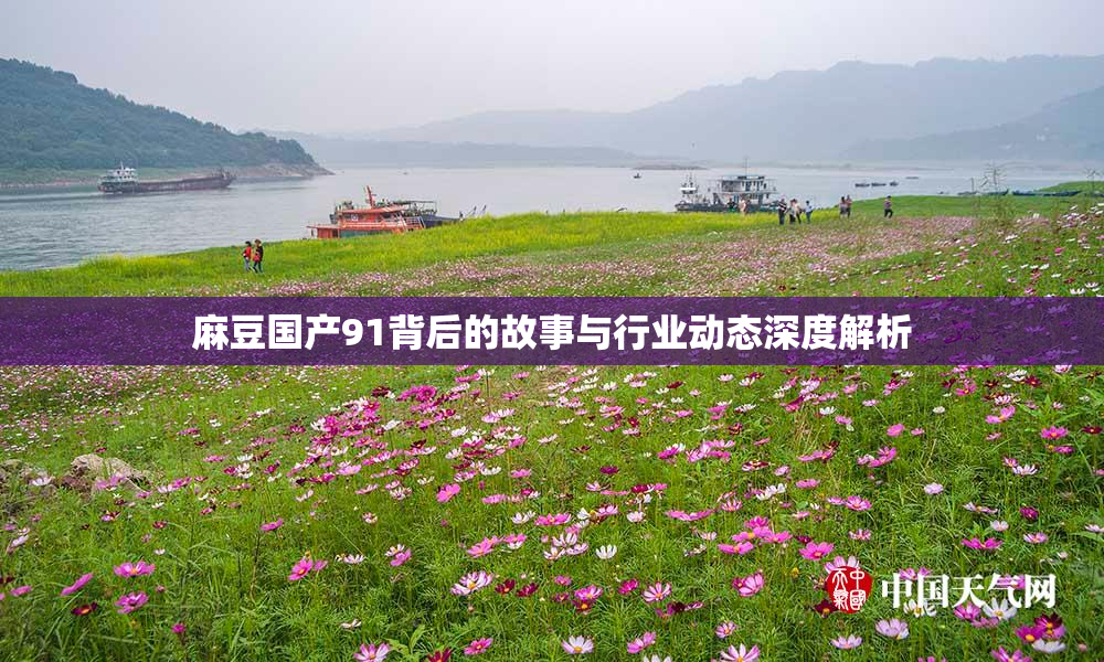 麻豆国产91背后的故事与行业动态深度解析