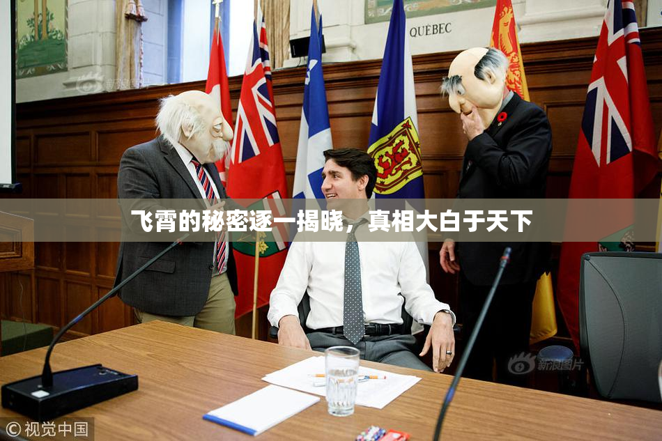 飞霄的秘密逐一揭晓，真相大白于天下