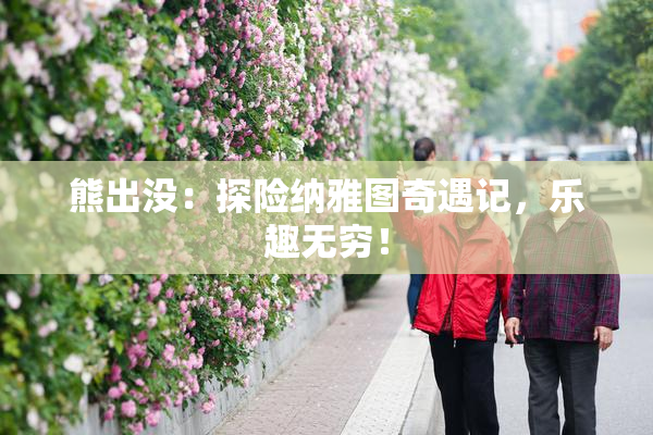熊出没：探险纳雅图奇遇记，乐趣无穷！