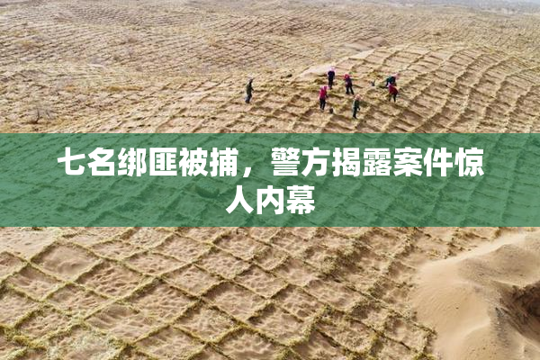 七名绑匪被捕，警方揭露案件惊人内幕