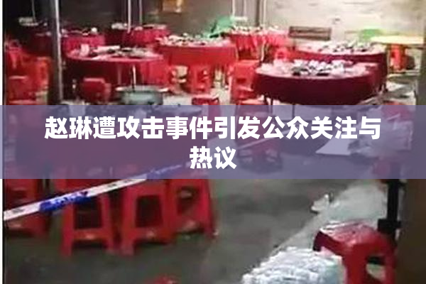 赵琳遭攻击事件引发公众关注与热议