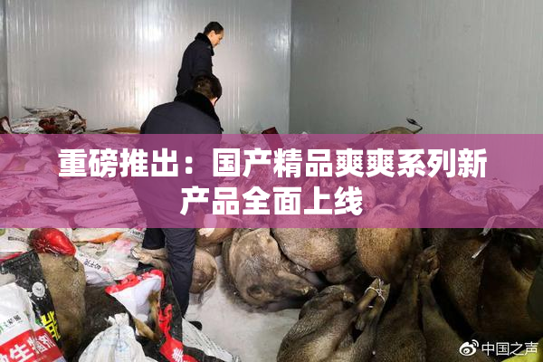 重磅推出：国产精品爽爽系列新产品全面上线