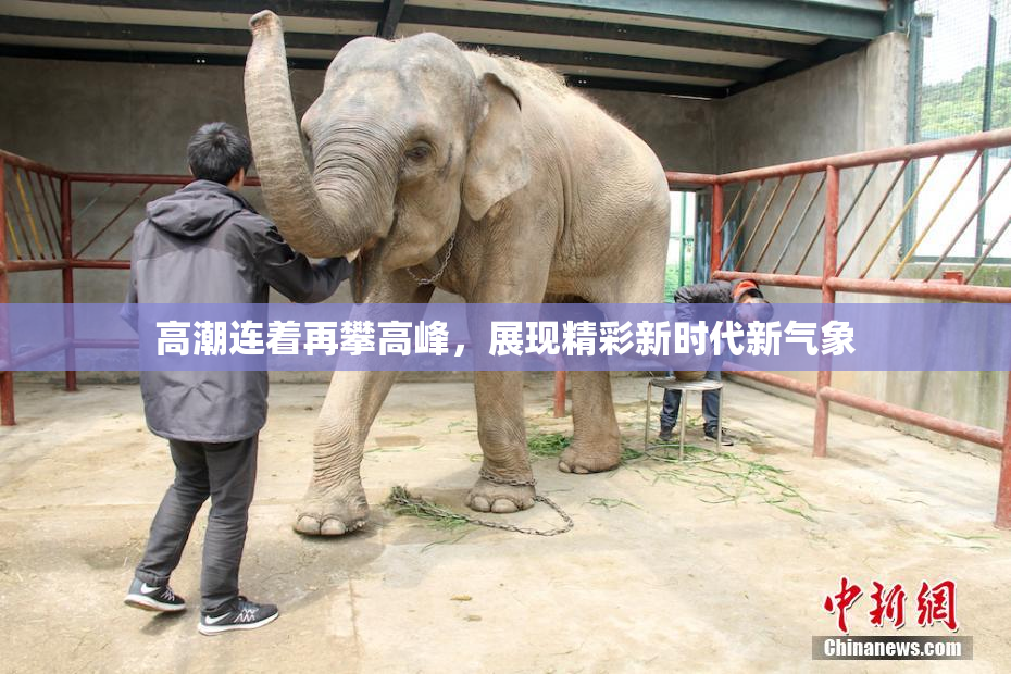 高潮连着再攀高峰，展现精彩新时代新气象