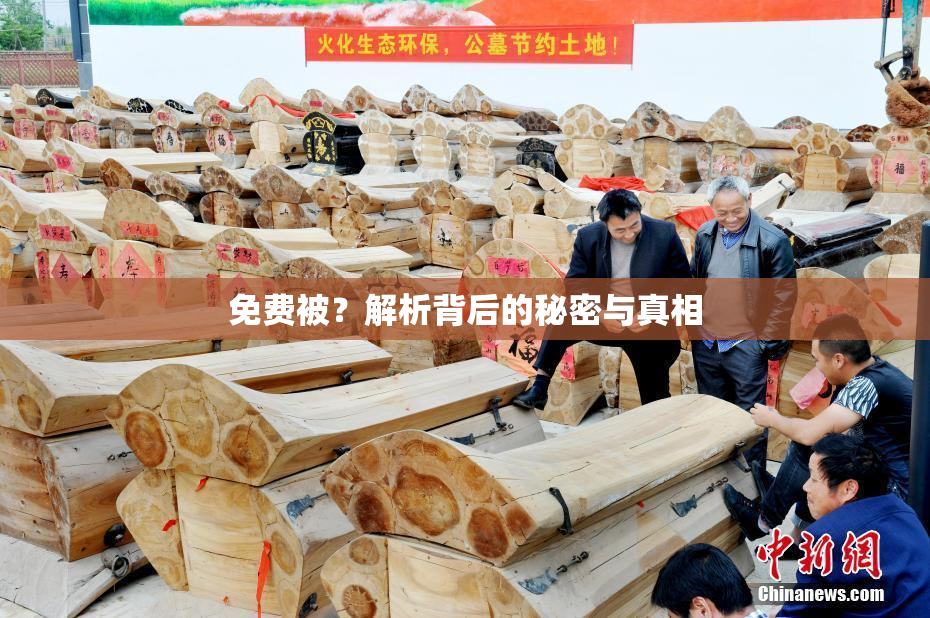 免费被？解析背后的秘密与真相