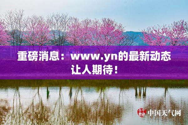 重磅消息：www.yn的最新动态让人期待！