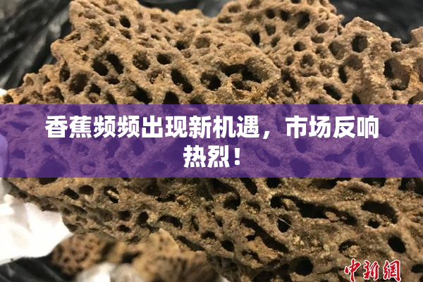 香蕉频频出现新机遇，市场反响热烈！
