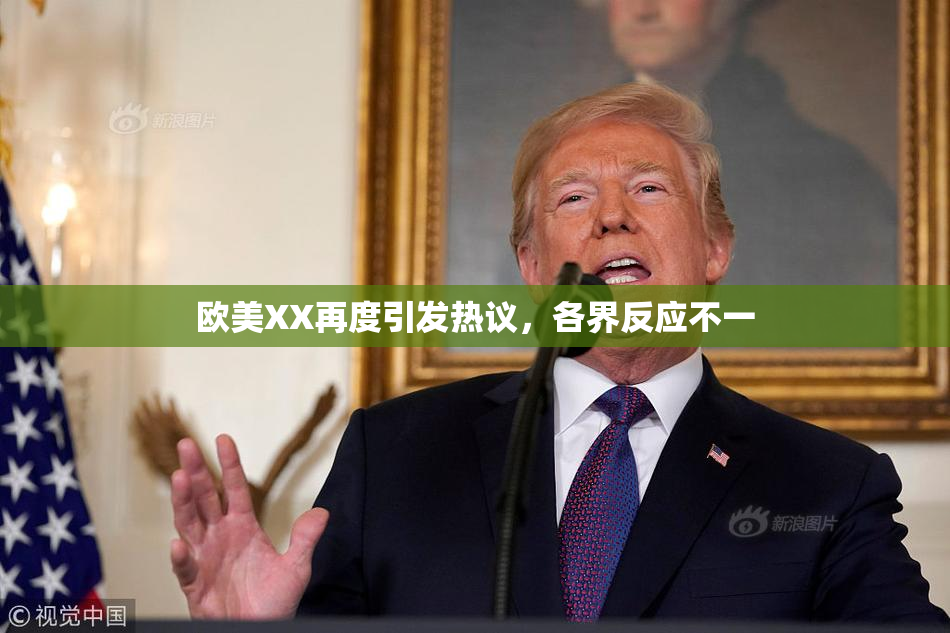 欧美XX再度引发热议，各界反应不一