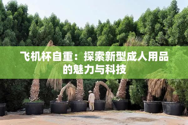 飞机杯自重：探索新型成人用品的魅力与科技