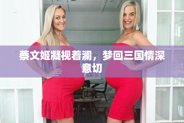 蔡文姬凝视着澜，梦回三国情深意切