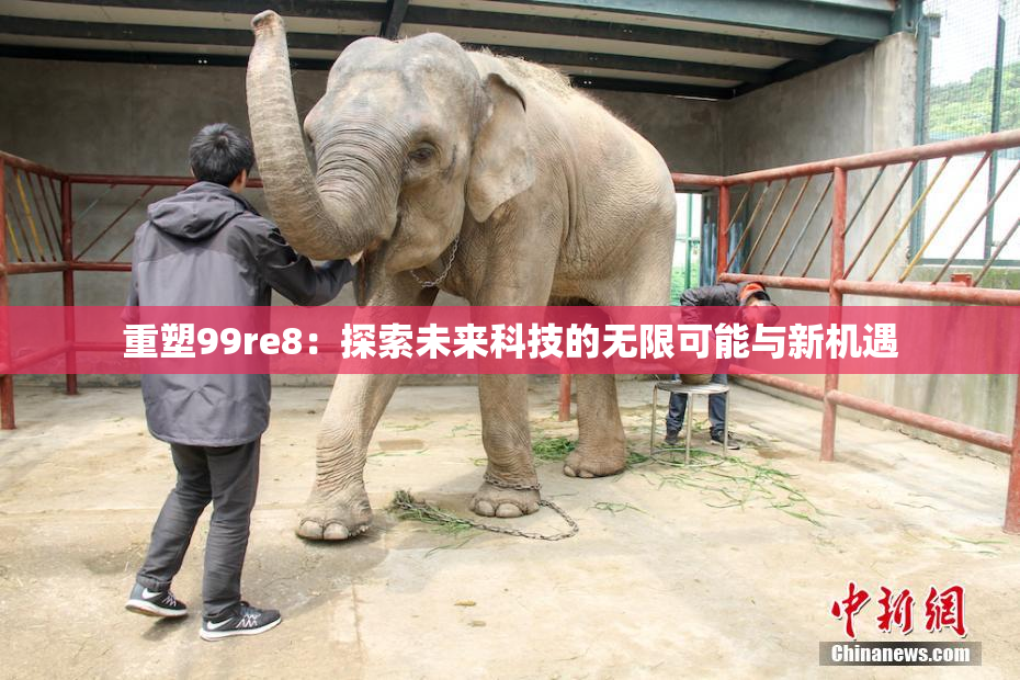 重塑99re8：探索未来科技的无限可能与新机遇