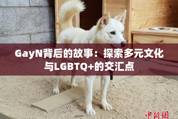 GayN背后的故事：探索多元文化与LGBTQ+的交汇点