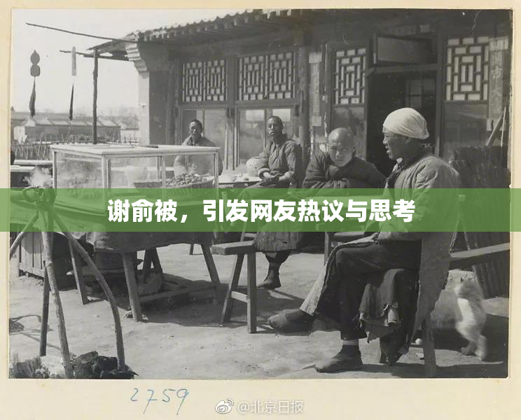 谢俞被，引发网友热议与思考