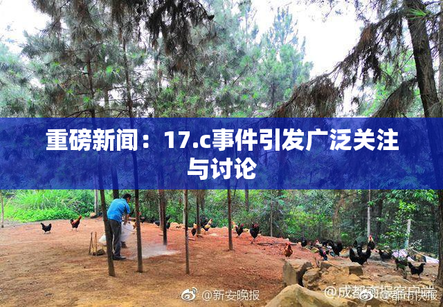 重磅新闻：17.c事件引发广泛关注与讨论