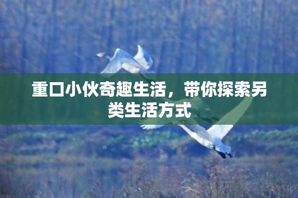 重口小伙奇趣生活，带你探索另类生活方式