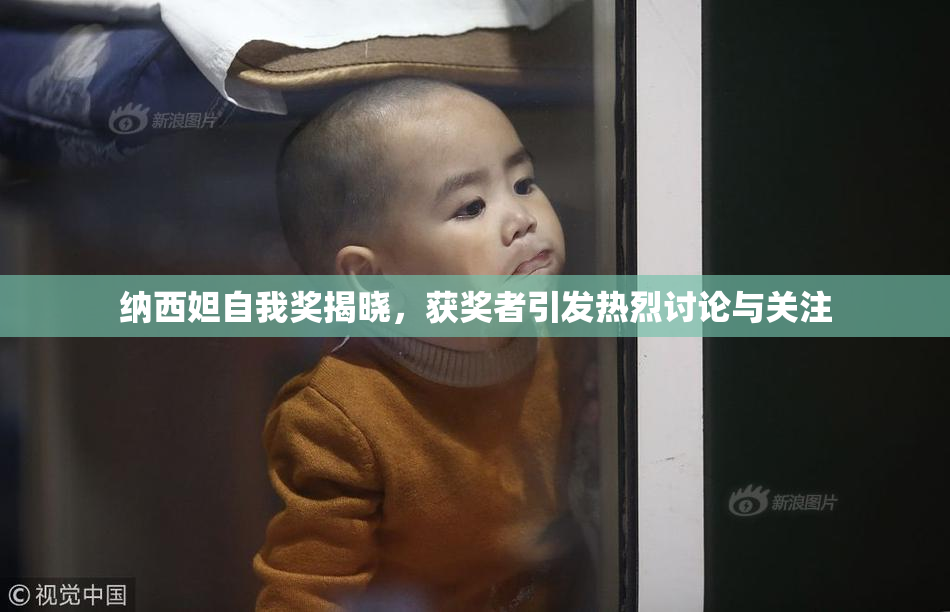 纳西妲自我奖揭晓，获奖者引发热烈讨论与关注