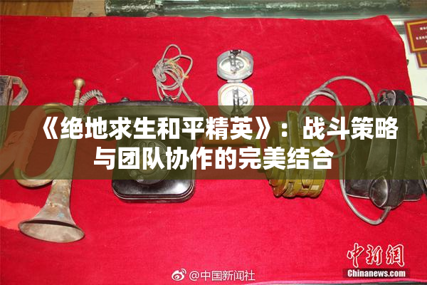 《绝地求生和平精英》：战斗策略与团队协作的完美结合