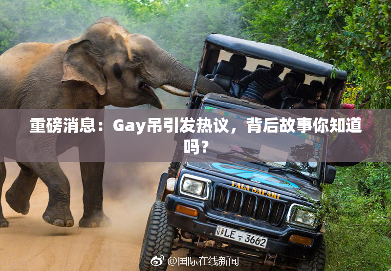 重磅消息：Gay吊引发热议，背后故事你知道吗？