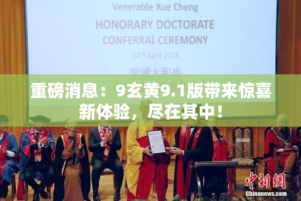 重磅消息：9玄黄9.1版带来惊喜新体验，尽在其中！