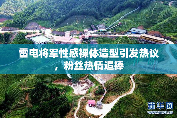 雷电将军性感裸体造型引发热议，粉丝热情追捧