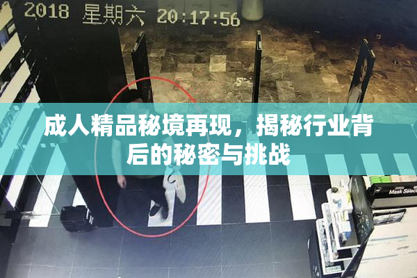 成人精品秘境再现，揭秘行业背后的秘密与挑战