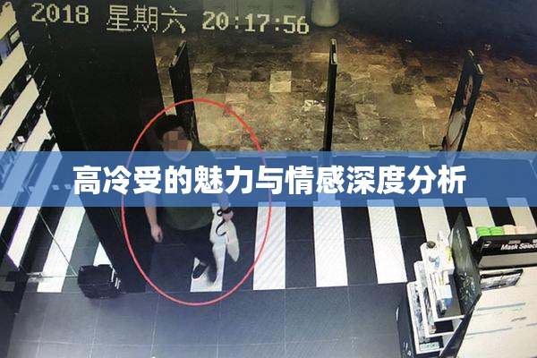 高冷受的魅力与情感深度分析