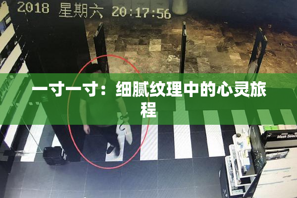 一寸一寸：细腻纹理中的心灵旅程