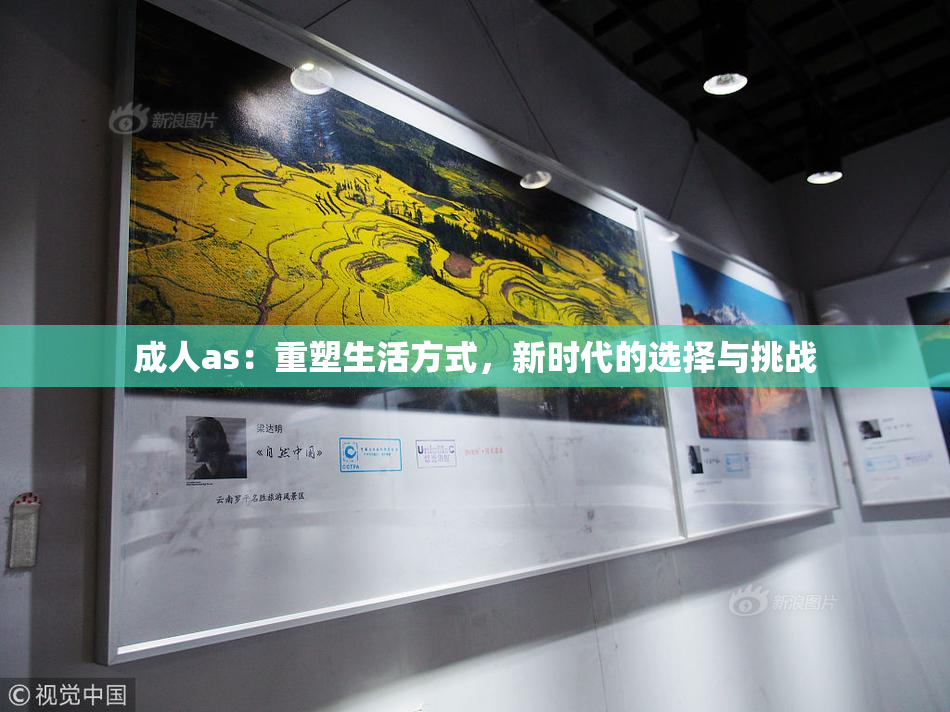 成人as：重塑生活方式，新时代的选择与挑战