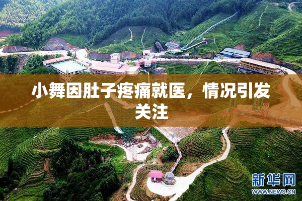 小舞因肚子疼痛就医，情况引发关注