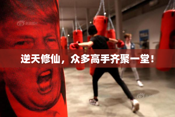 逆天修仙，众多高手齐聚一堂！