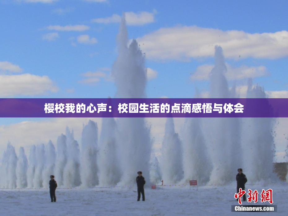樱校我的心声：校园生活的点滴感悟与体会