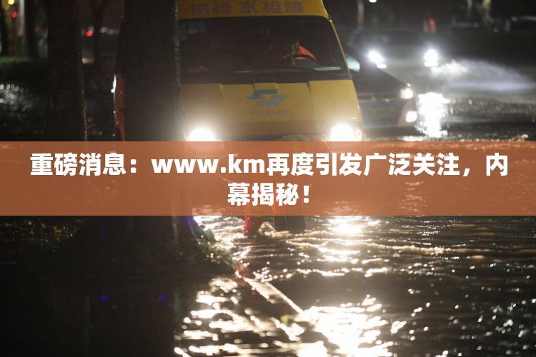 重磅消息：www.km再度引发广泛关注，内幕揭秘！