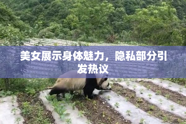 美女展示身体魅力，隐私部分引发热议