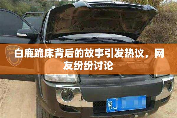 白鹿跪床背后的故事引发热议，网友纷纷讨论