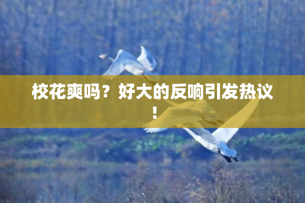 校花爽吗？好大的反响引发热议！