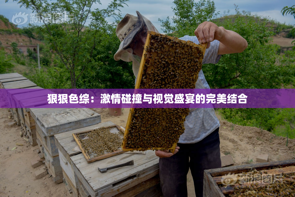 狠狠色综：激情碰撞与视觉盛宴的完美结合