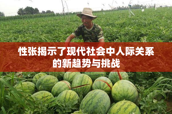 性张揭示了现代社会中人际关系的新趋势与挑战