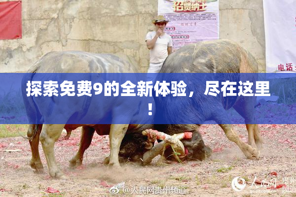 探索免费9的全新体验，尽在这里！