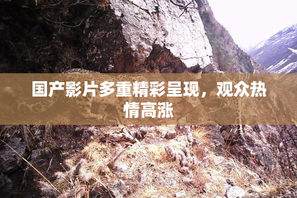 国产影片多重精彩呈现，观众热情高涨
