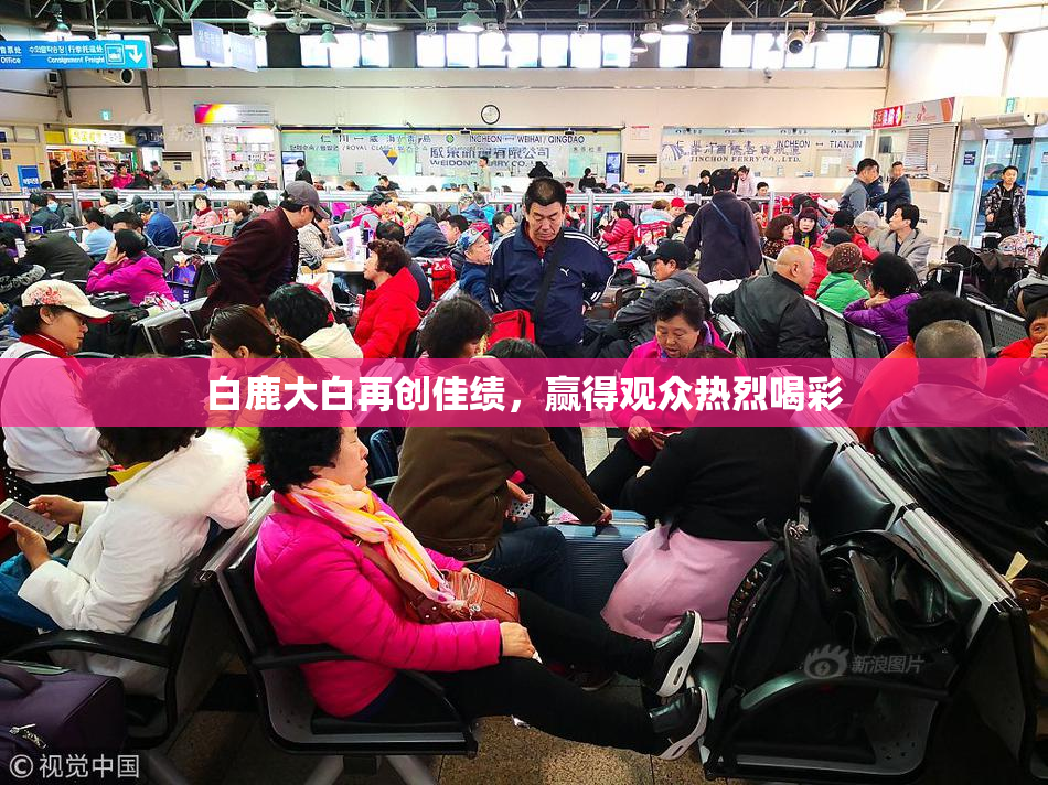 白鹿大白再创佳绩，赢得观众热烈喝彩