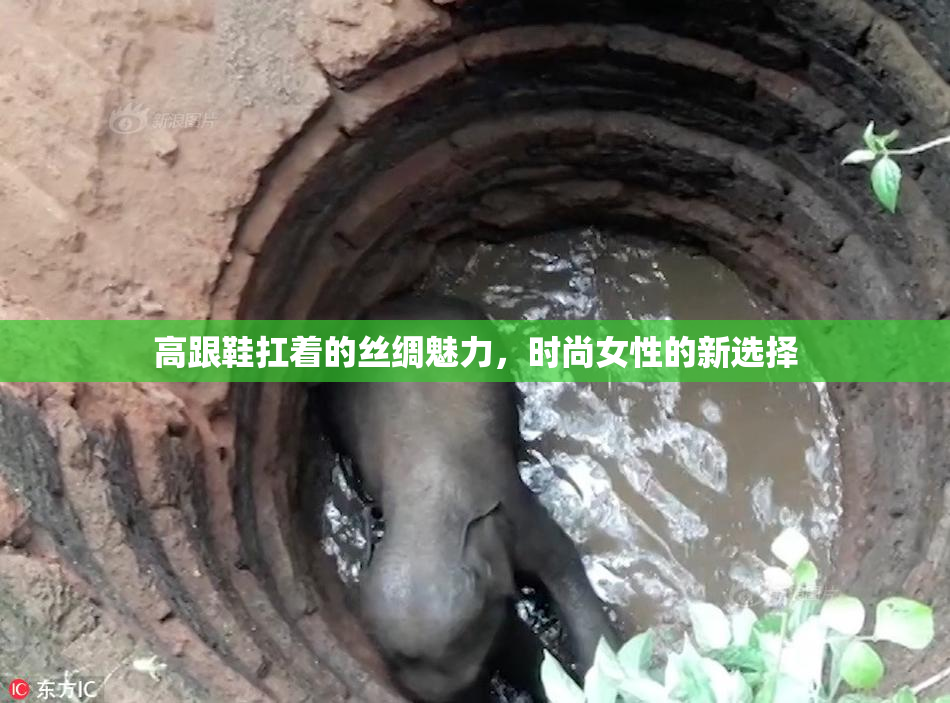 高跟鞋扛着的丝绸魅力，时尚女性的新选择