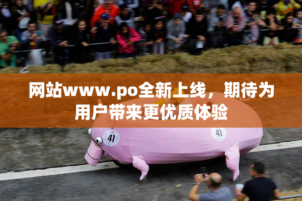 网站www.ро全新上线，期待为用户带来更优质体验